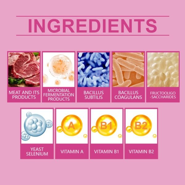 Dog Probiotic Tablets To Improve Intestinal Health,