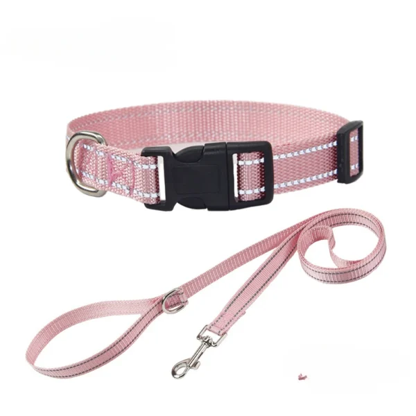 Nylon Dog Collar and Leash Set