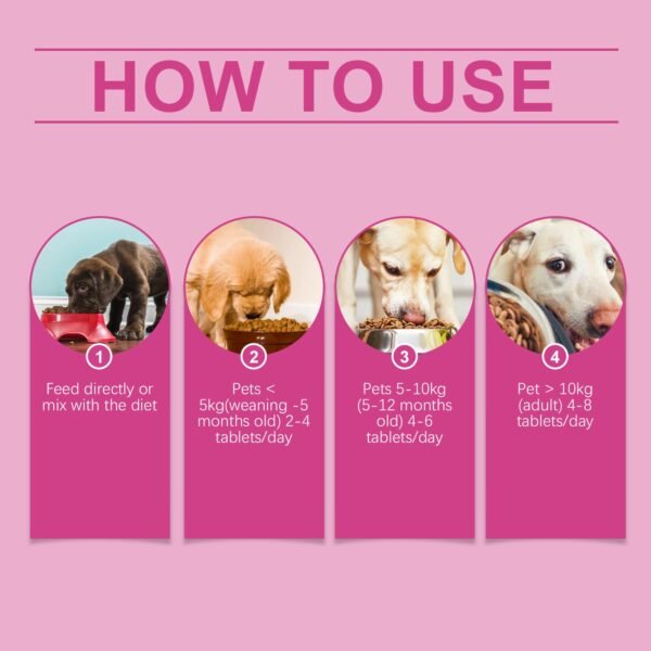 Dog Probiotic Tablets To Improve Intestinal Health,