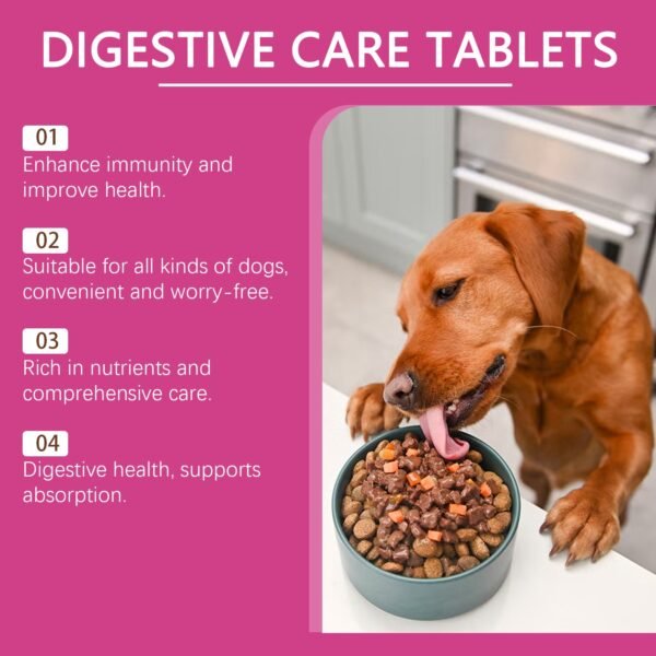 Dog Probiotic Tablets To Improve Intestinal Health,