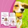 Dog Probiotic Tablets To Improve Intestinal Health,